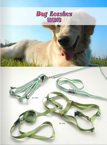 Fashionable nylon dog leash